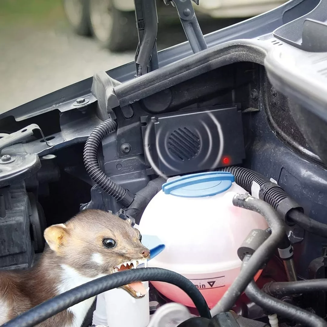 Boîtier répulsif ultrason contre rats extérieur – Protection efficace sans produits chimiques – Idéal jardin et terrasse