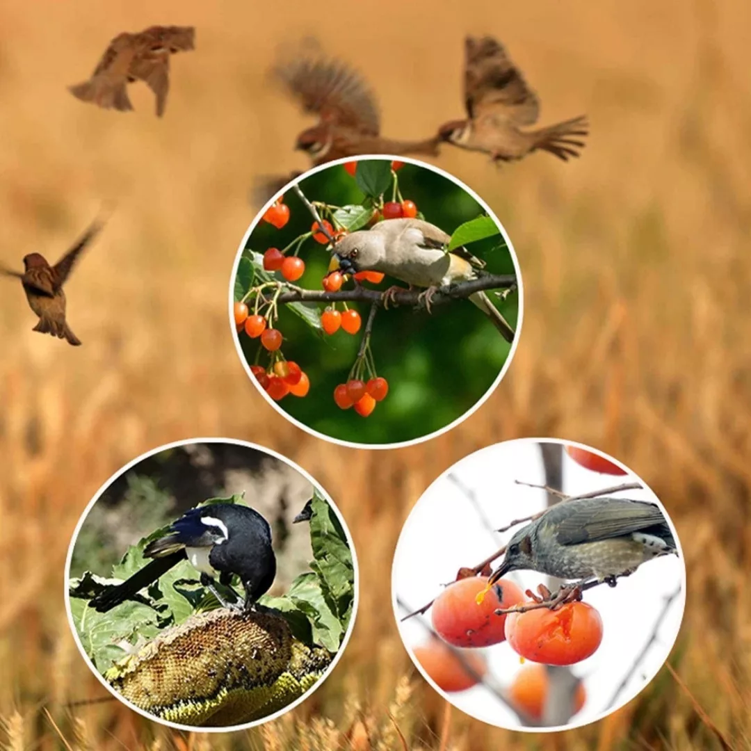 Répulsif ultrason solaire pour pigeons – Éloigne efficacement les nuisibles sans produits chimiques – Écologique & autonome